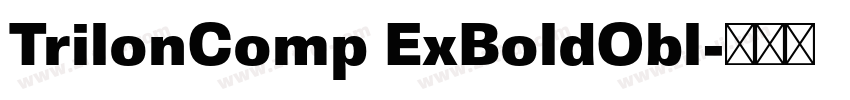 TrilonComp ExBoldObl字体转换 TrilonComp ExBoldObl字体转换